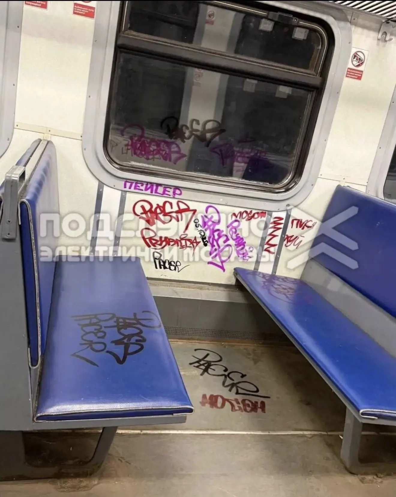 Художников - вандалов заметили в подмосковной электричке😡