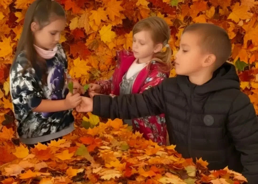 🌰🍁 Волшебство осени в кабинете психолога! 🍂