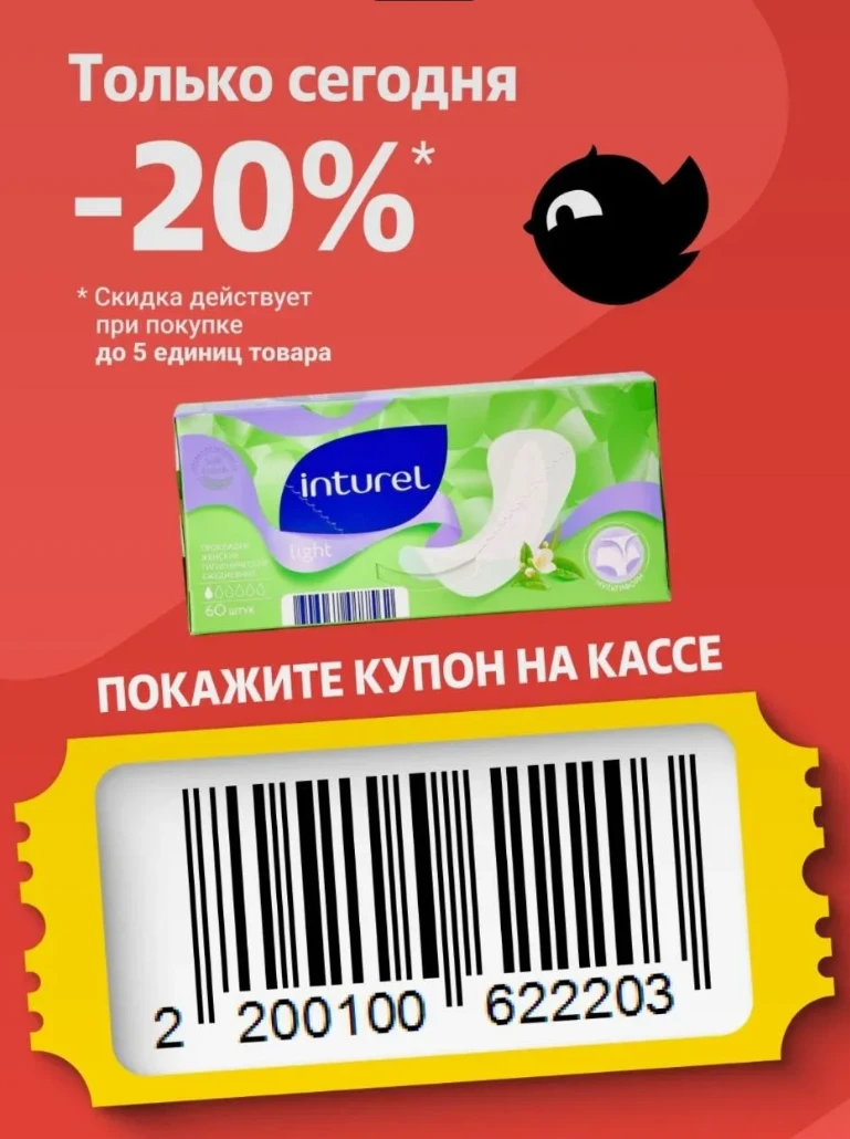 Чижик сегодня