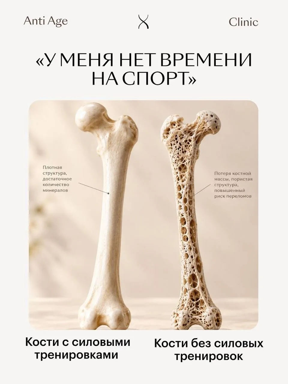 Кость — живая ткань, которая постоянно обновляется и реагирует на нагрузку.
