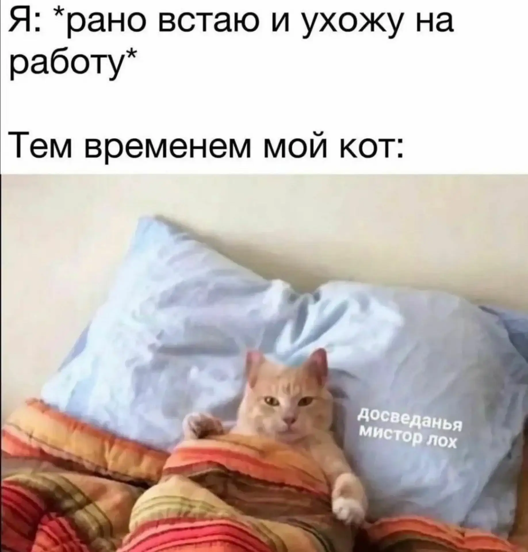 У кого так же ?🤣