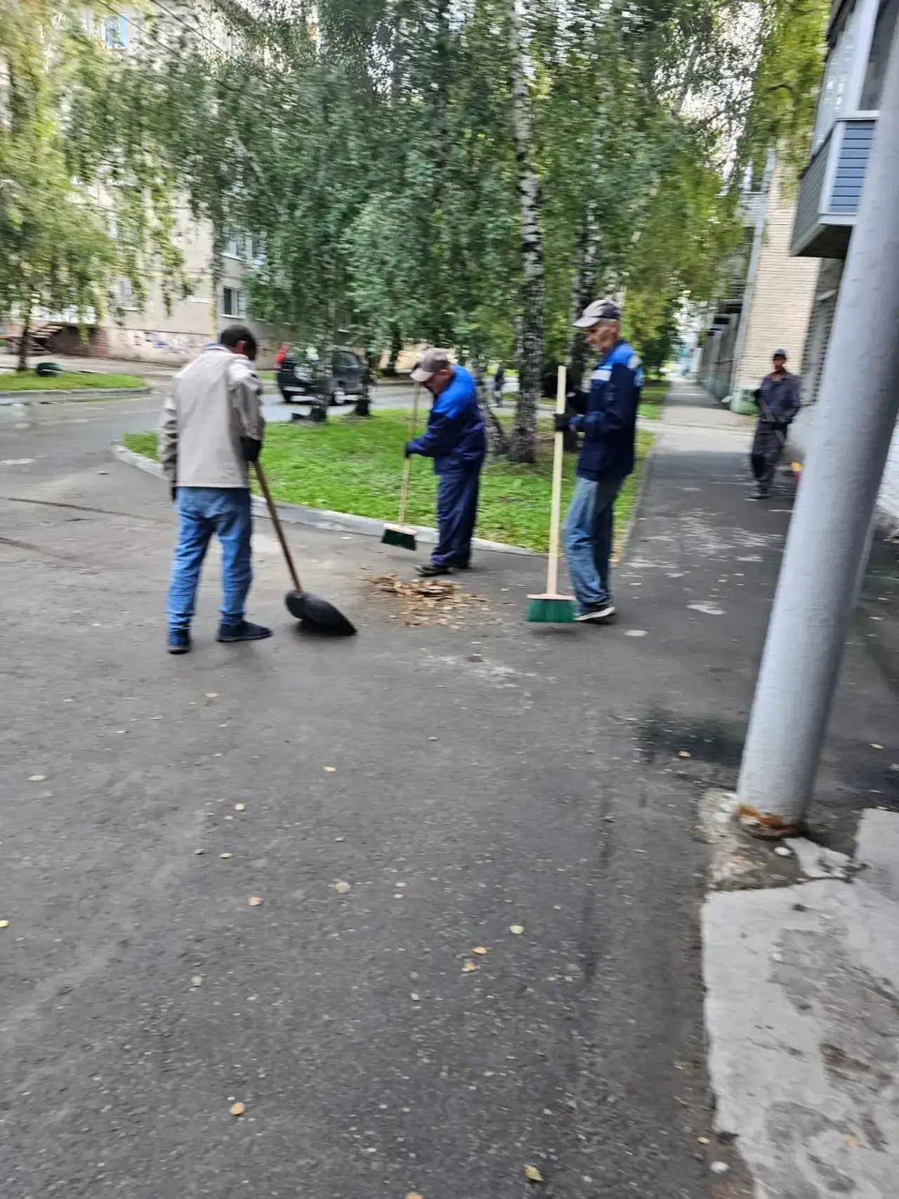 🌳🧹Сегодня убираем дворы и мусорные контейнерные площадки по адресам: