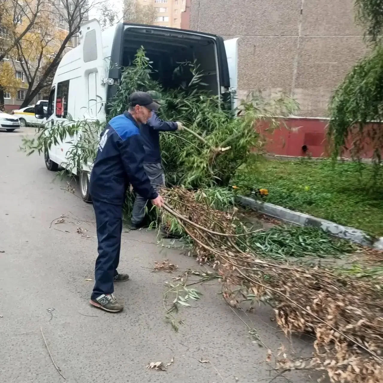 В Подольске обрезали деревья и кустарники