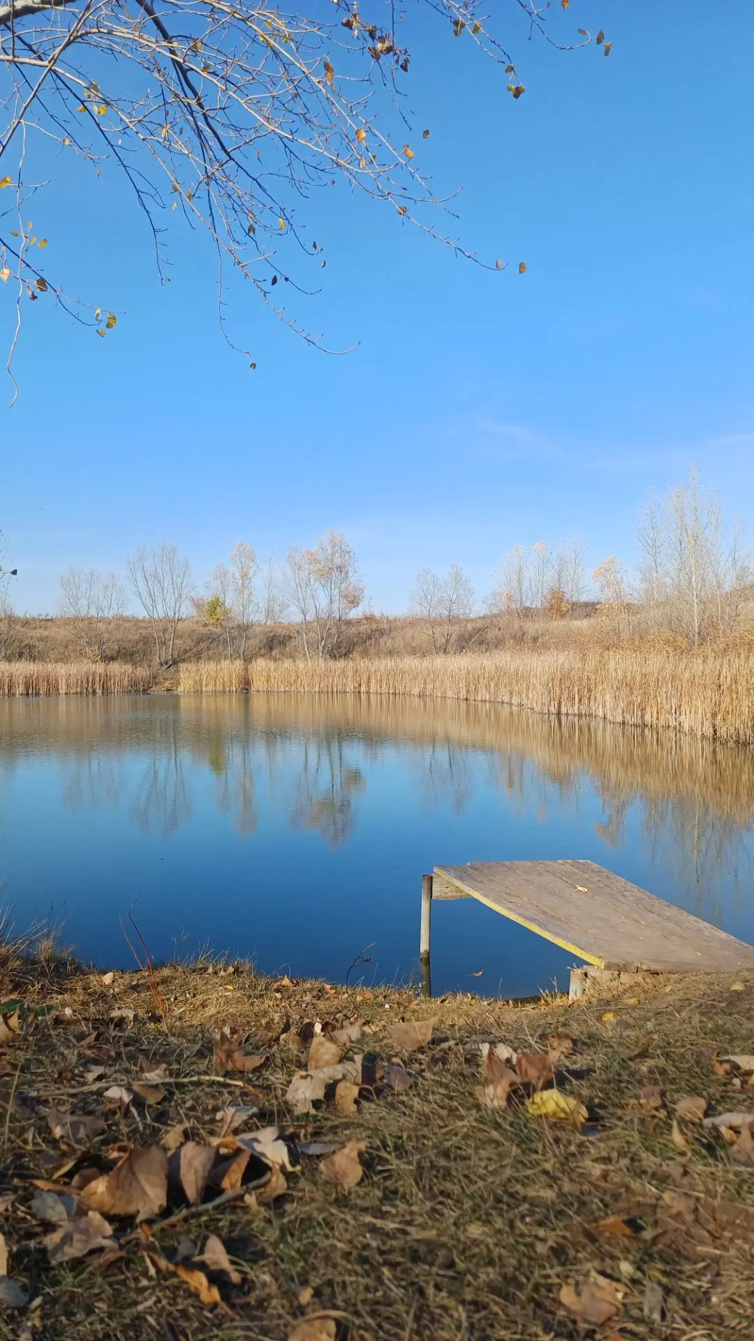 (от подписчицы)