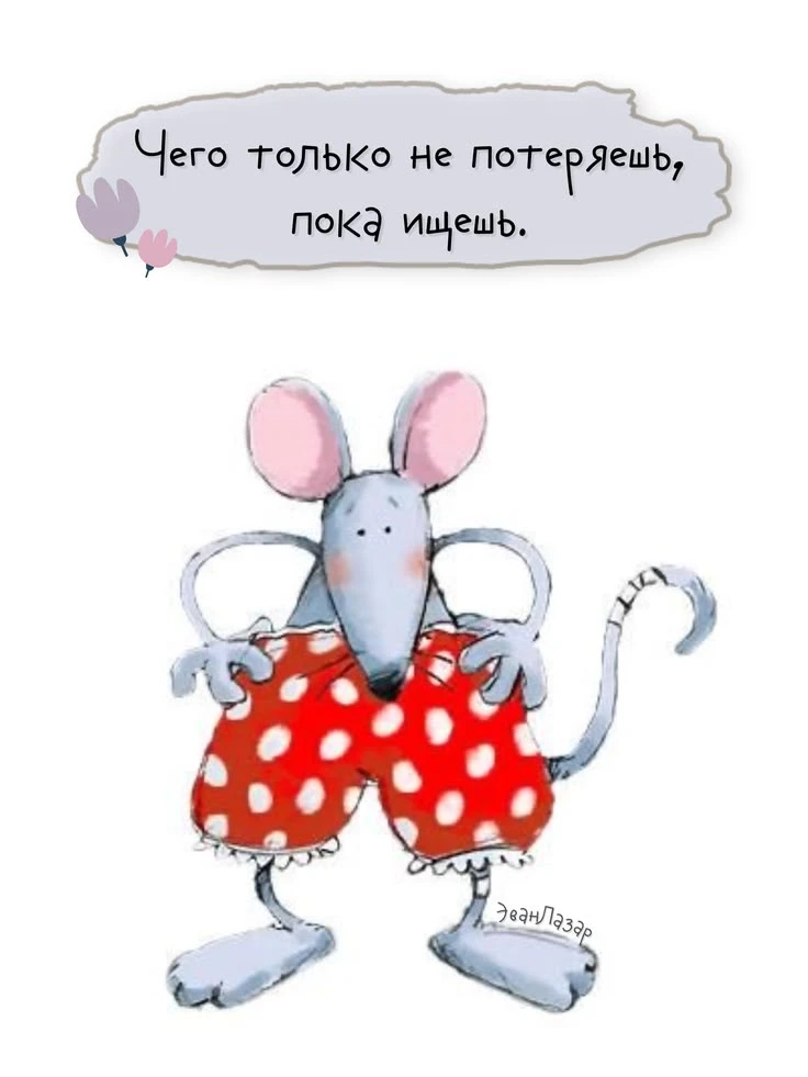 https://max.ru/invista123456