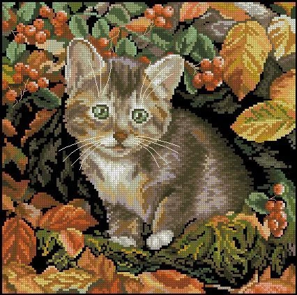 🪡 Осенний котёнок