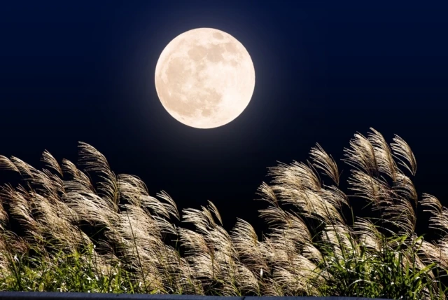 🌕 На небе «Урожайная Луна»