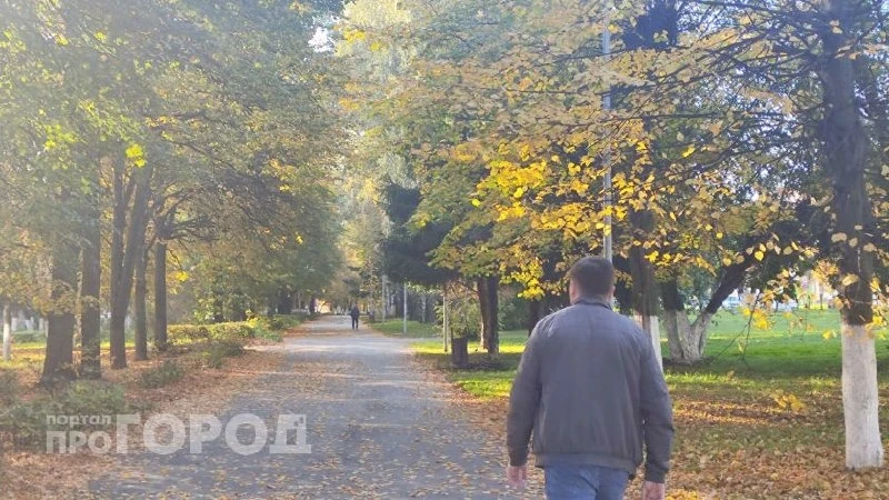 В Йошкар-Оле суд простил находчивого «покупателя»