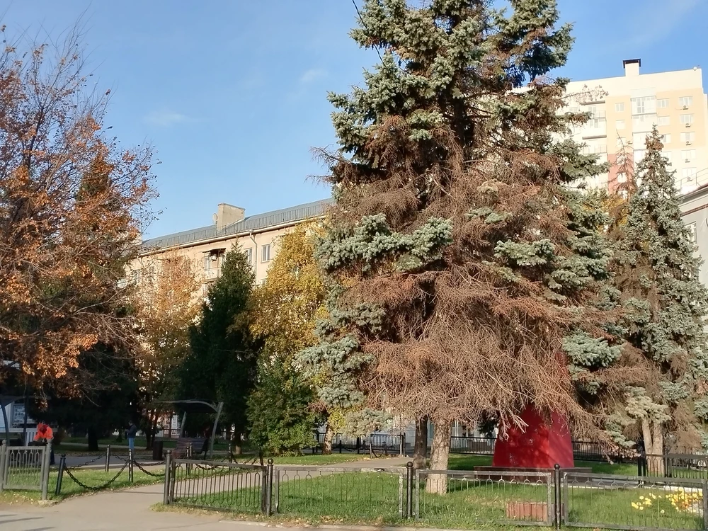 На выходных ещё сохранится тепло