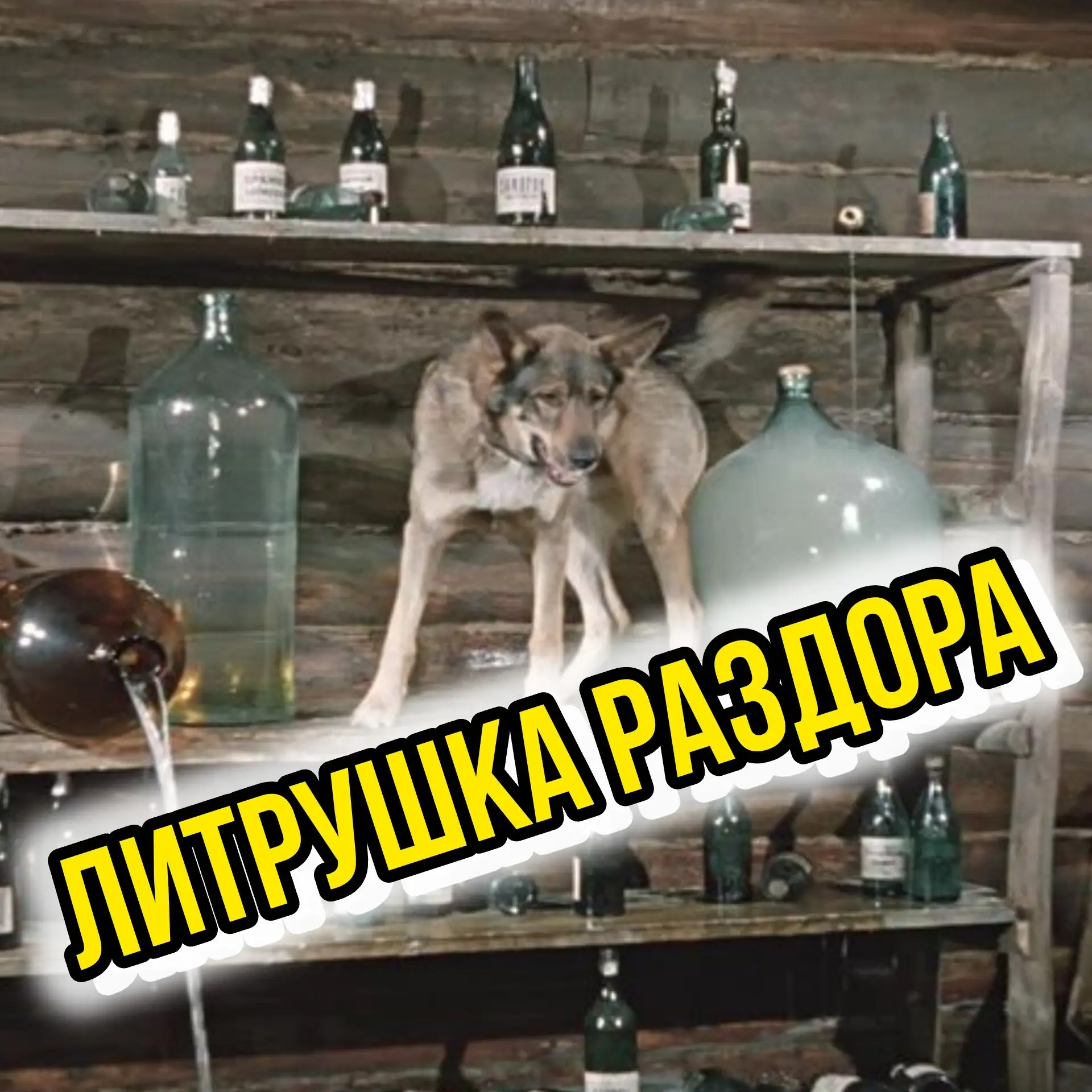 НАЧАЛОСЬ В ДЕРЕВНЕ УТРО: 10 тысяч рублей штрафа заплатил житель за продажу соседу ЛИТР ...