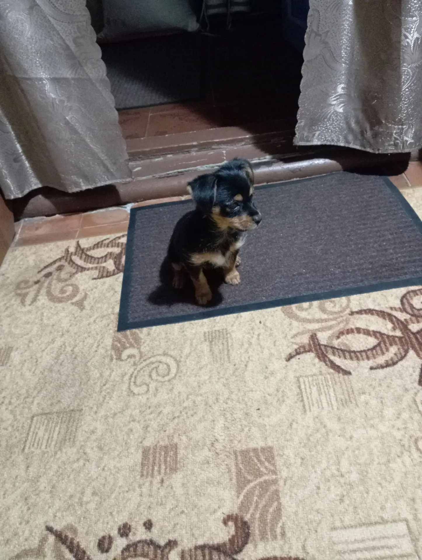 😢 Потерял