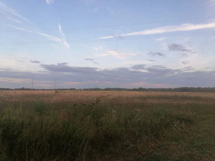 Фоны