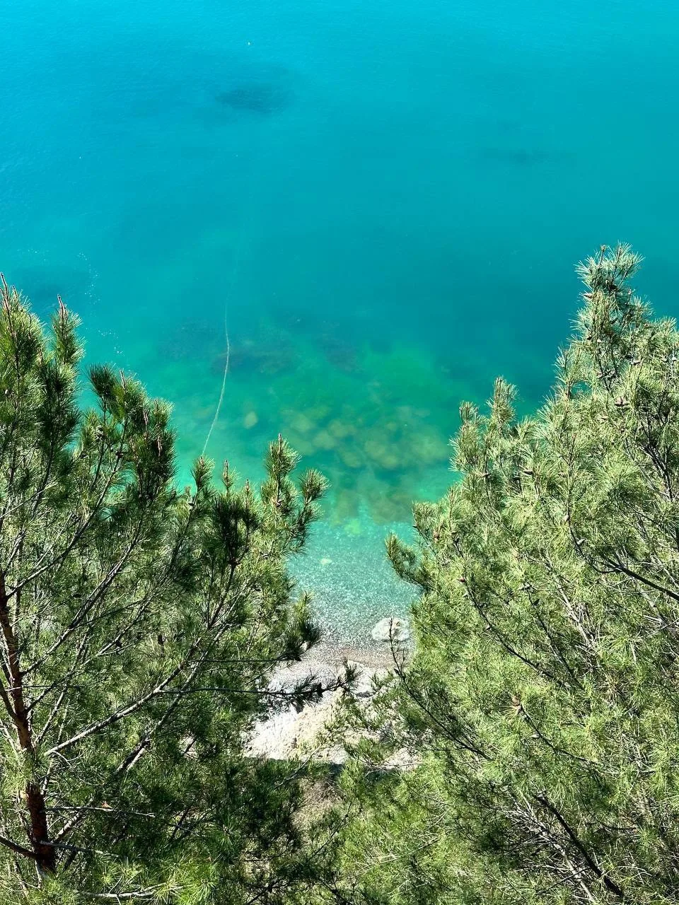 🏞️#Абхазия. ГОРЯЩИЙ ТУР! Вылет из Казани!