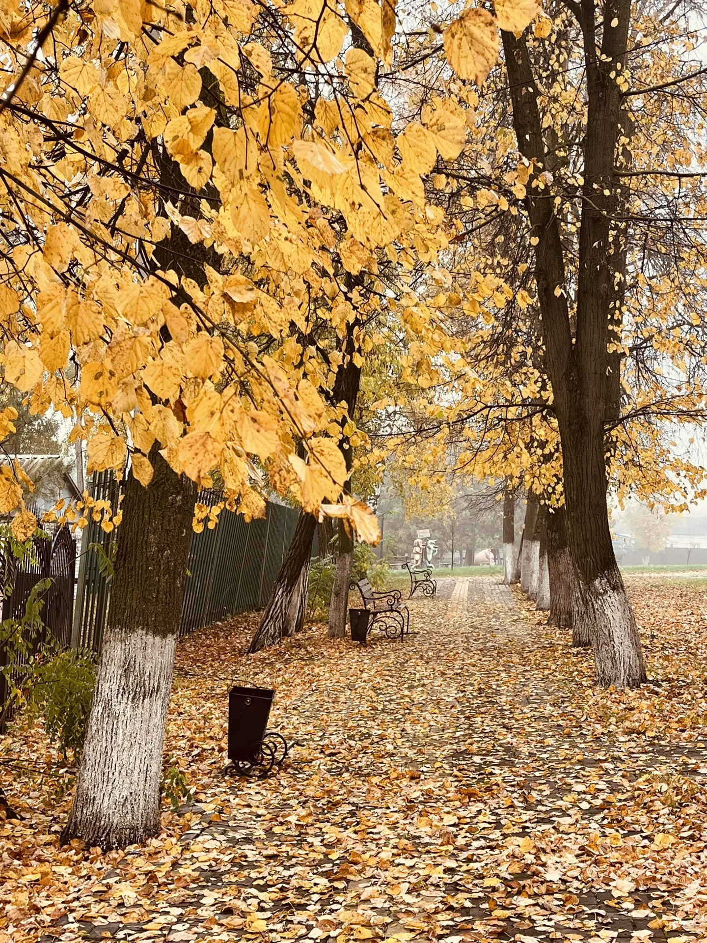 Доброе утро, Долгоруково!🍁