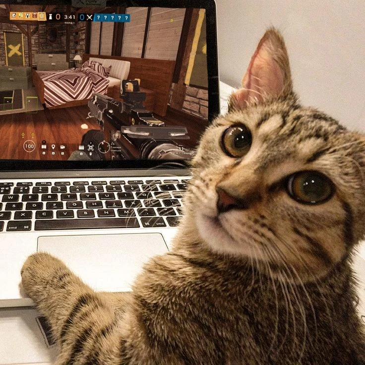 🎮 24 и 25 октября пройдёт чемпионат Урала по CS2