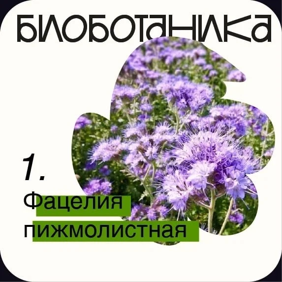 #Биоботаника