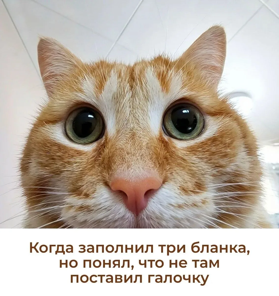 😉 Не переживайте! Такое случается даже с самыми внимательными!