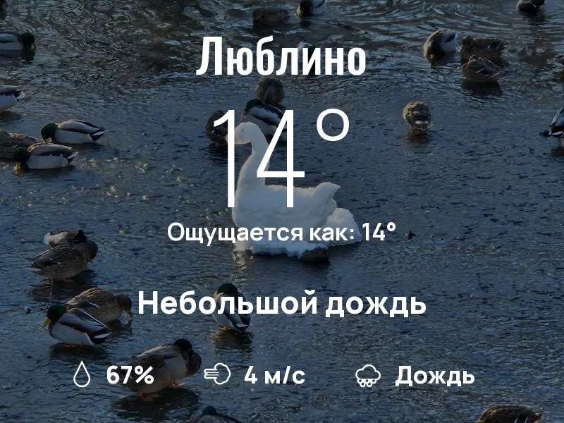 Что с погодой в Люблино?