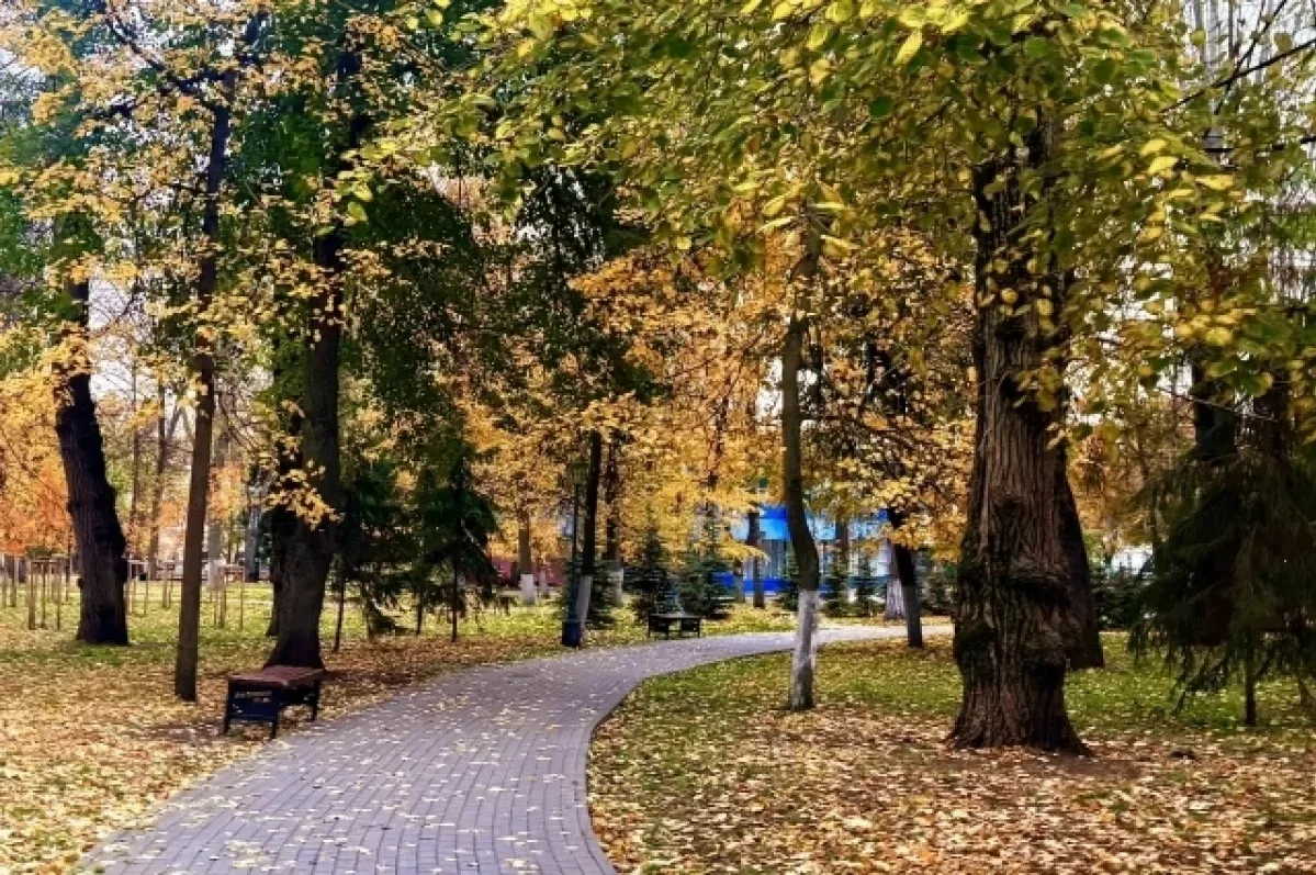 В Пензенской области 16 октября прогнозируется до +22ºС тепла