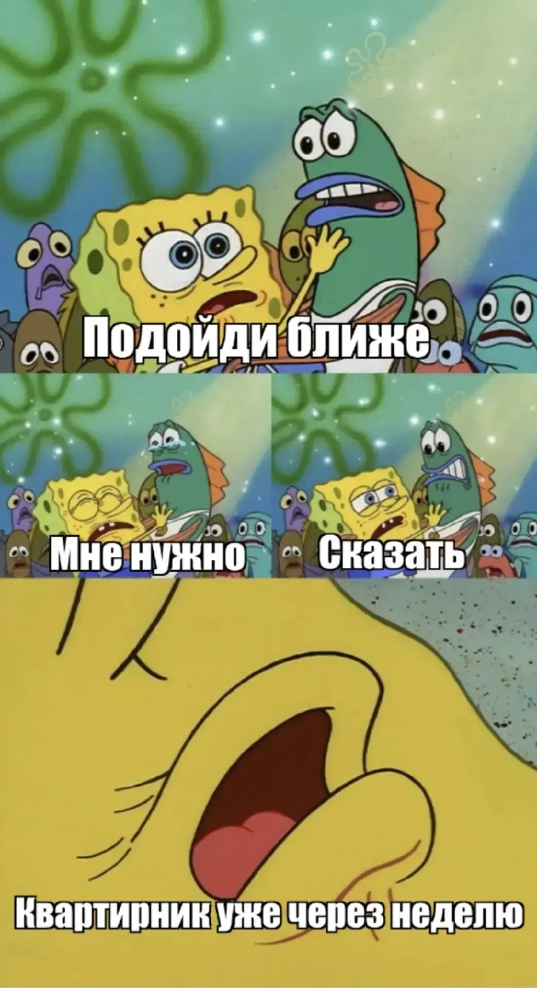 Ровно через неделю… 😏