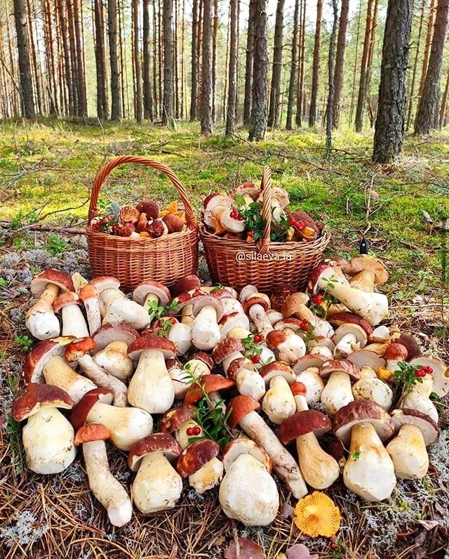 Подписаться
