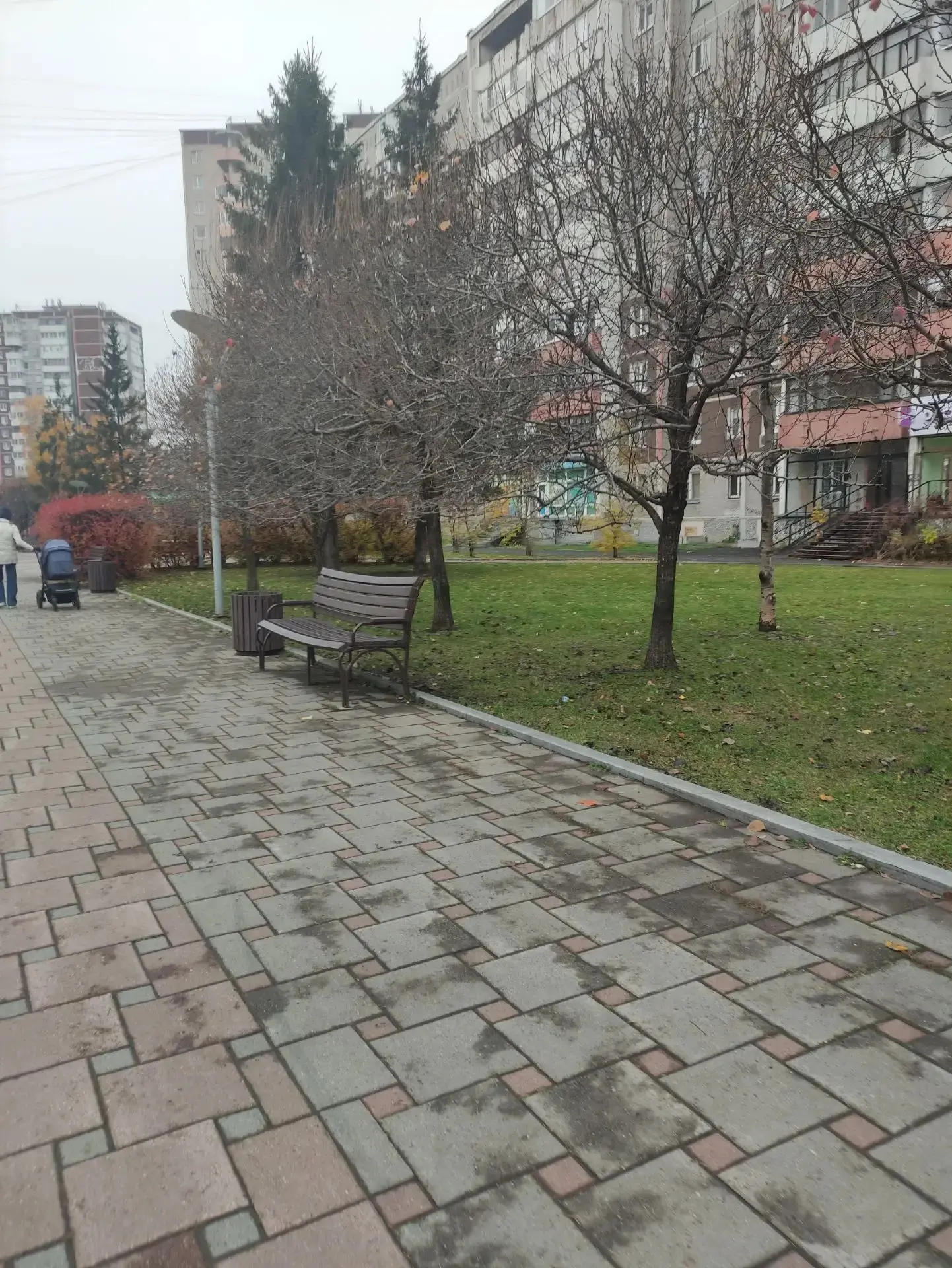 Вайб Ботаники ❤️