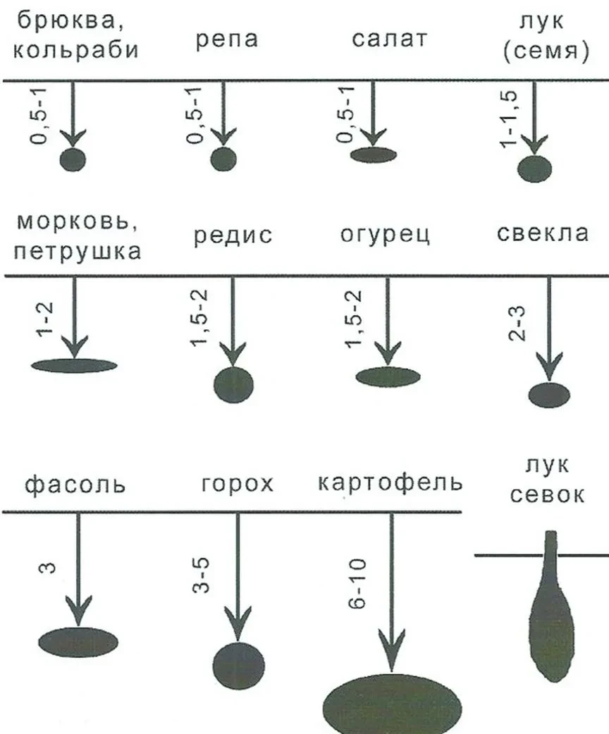 Полезная информация - таблица углублений при посадке