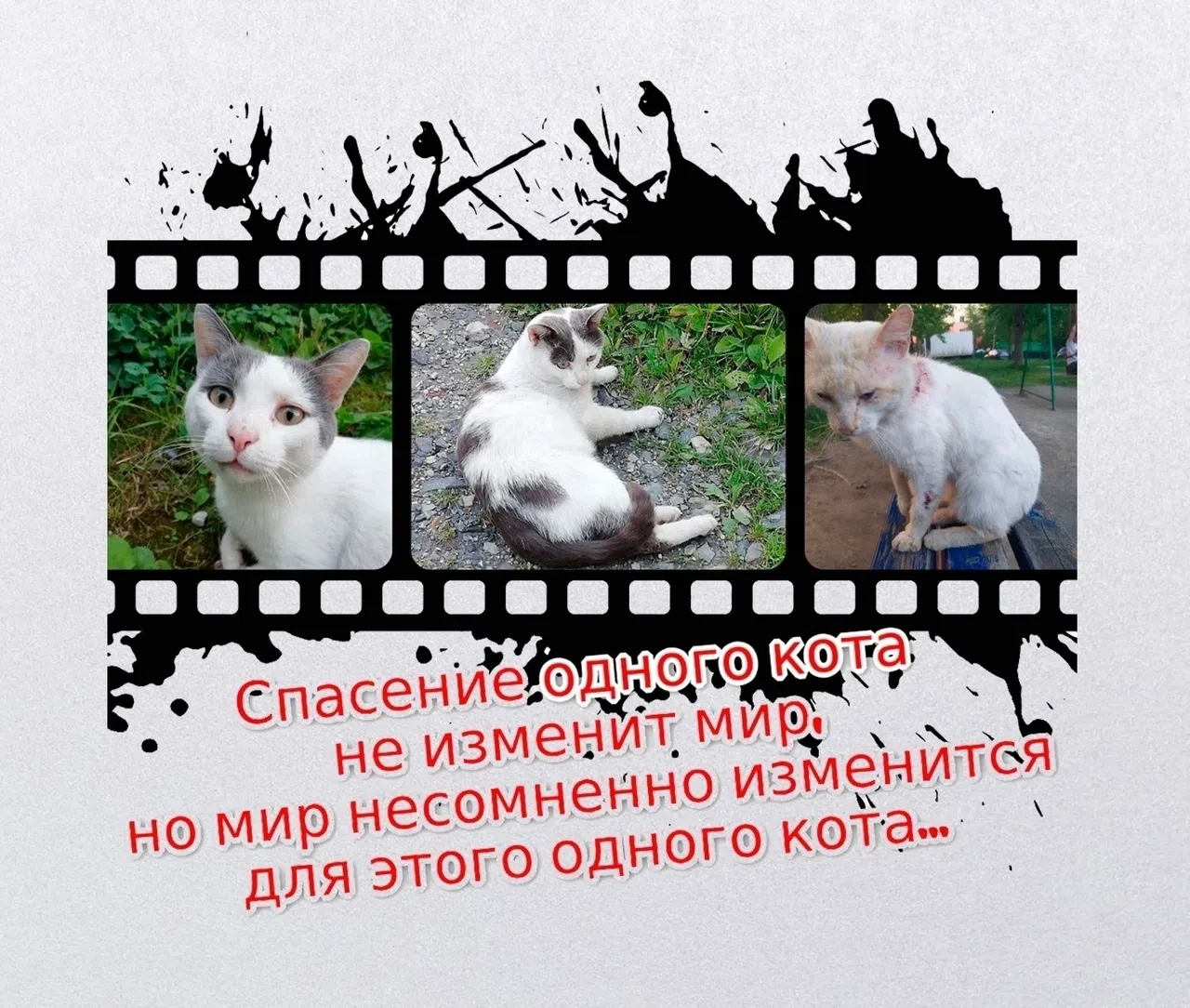 НЕ ЖАЛКО...
