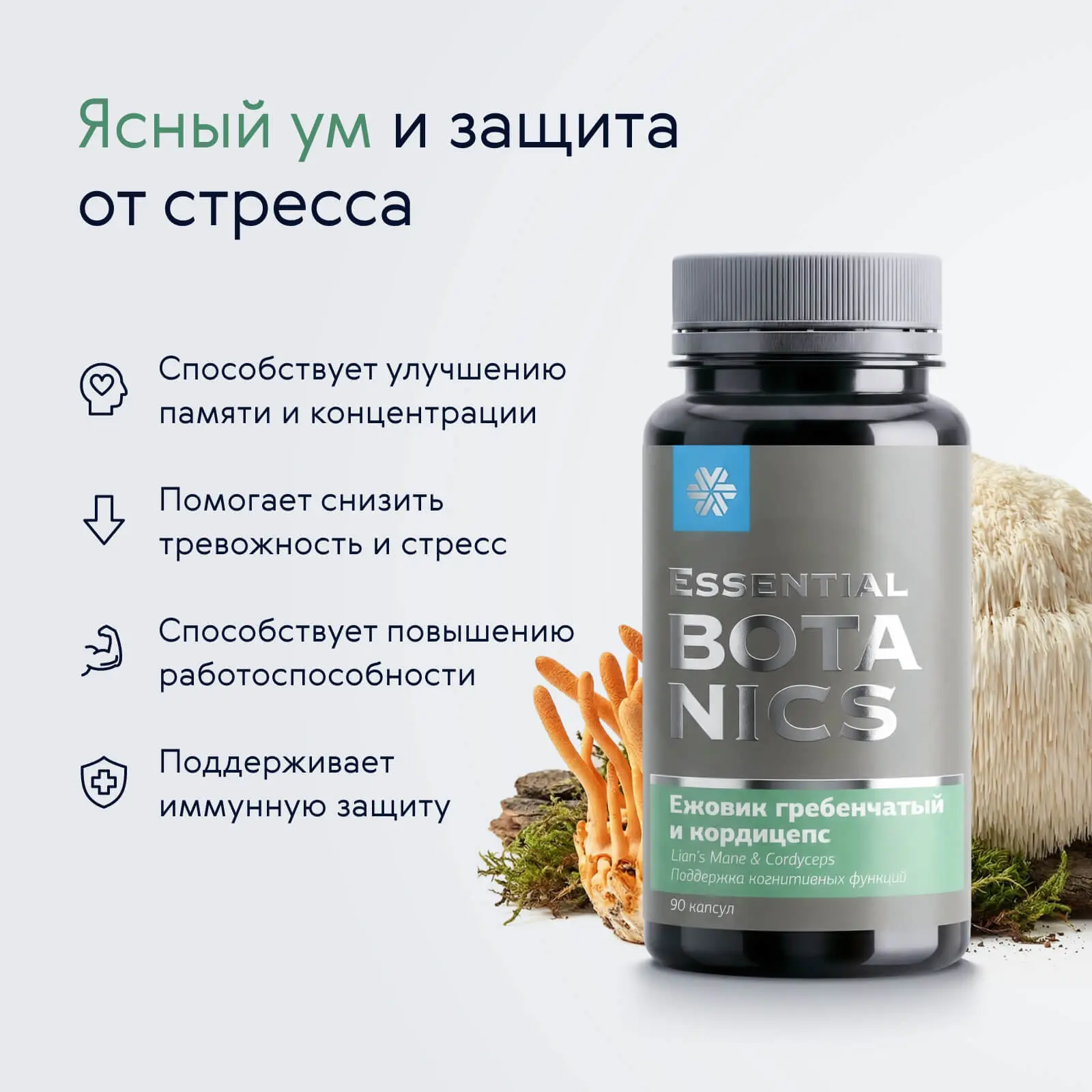 Ежовик гребенчатый и кордицепс