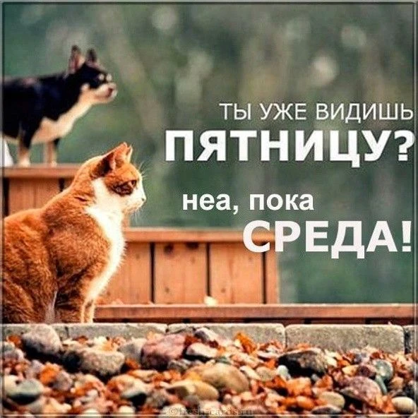 Доброе утро😁✌