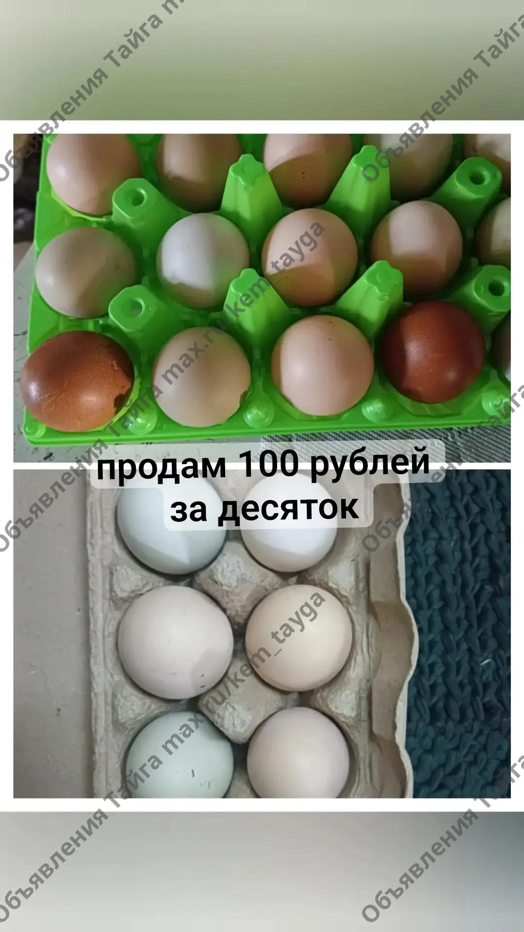 9050790062 Доставки нет
