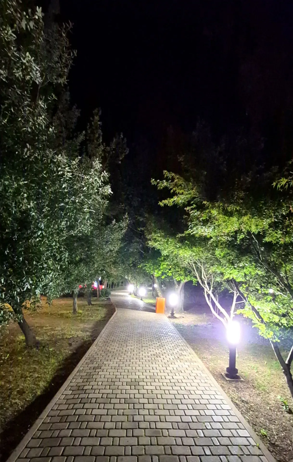 Ночью в парке🌚..осенне-атмосферно😎🍁🍂🧡..