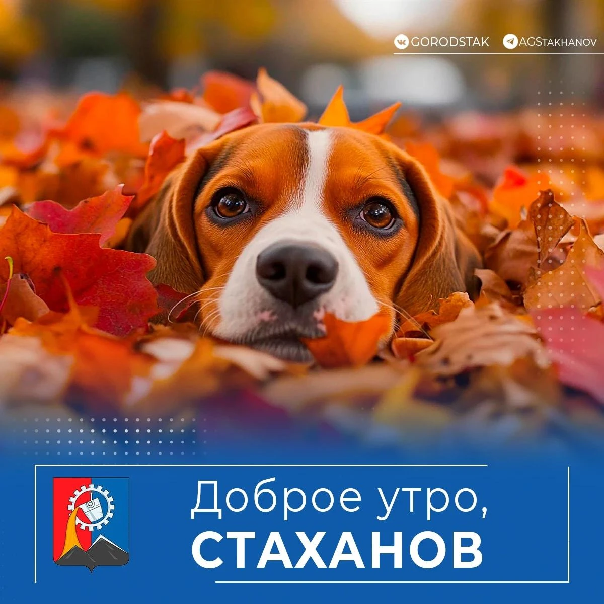 Доброе утро, любимый город!