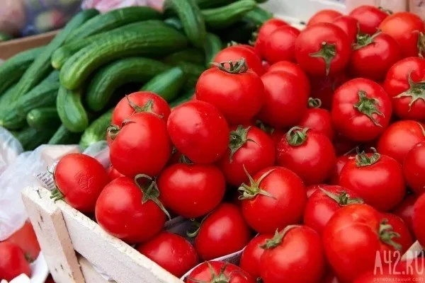 Помидоры в Кузбассе подорожали на 8,5% за неделю. Килограмм теперь стоит 205,13 рубля.