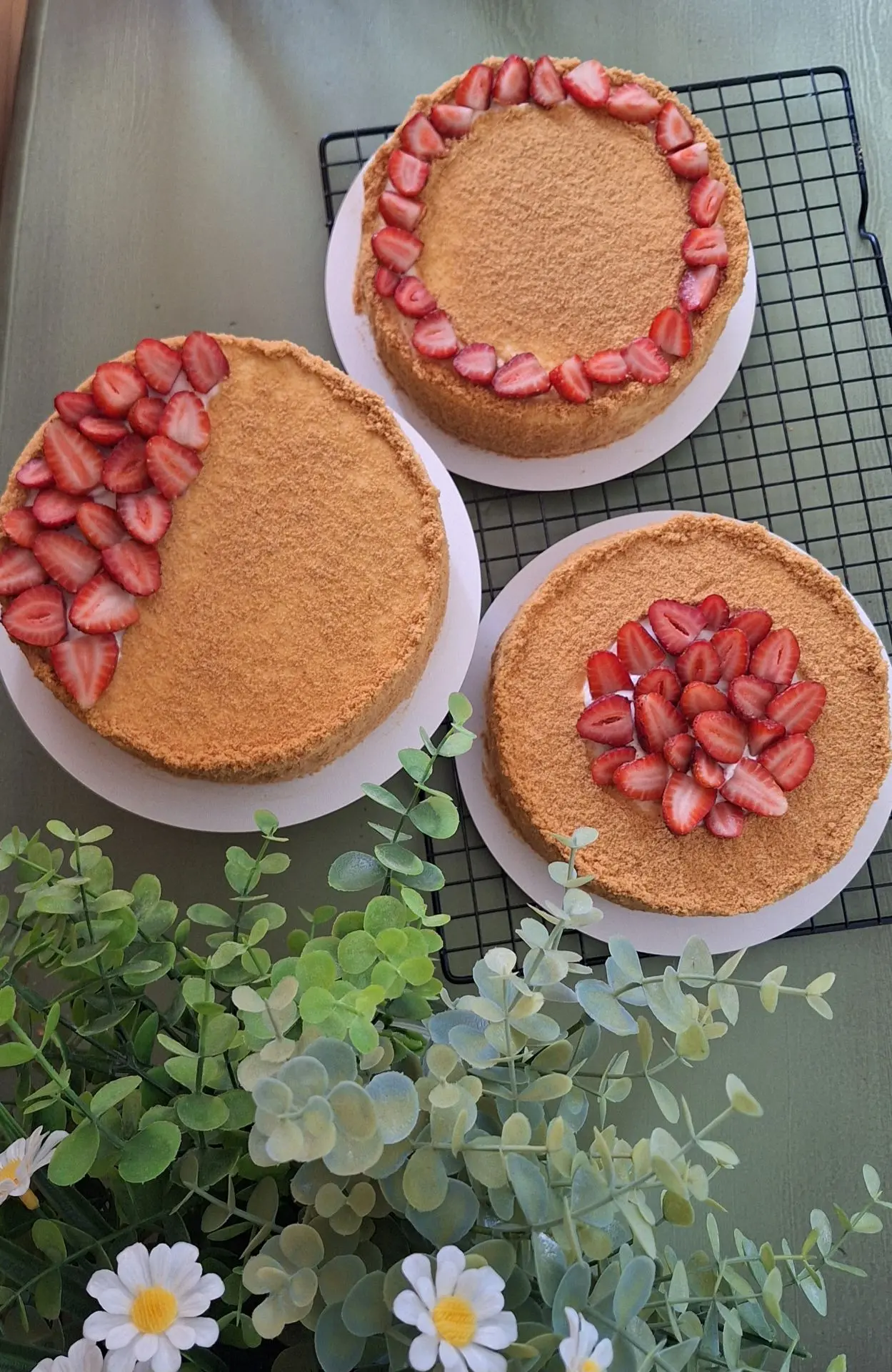 🍰  РОЗЫГРЫШ 🥁