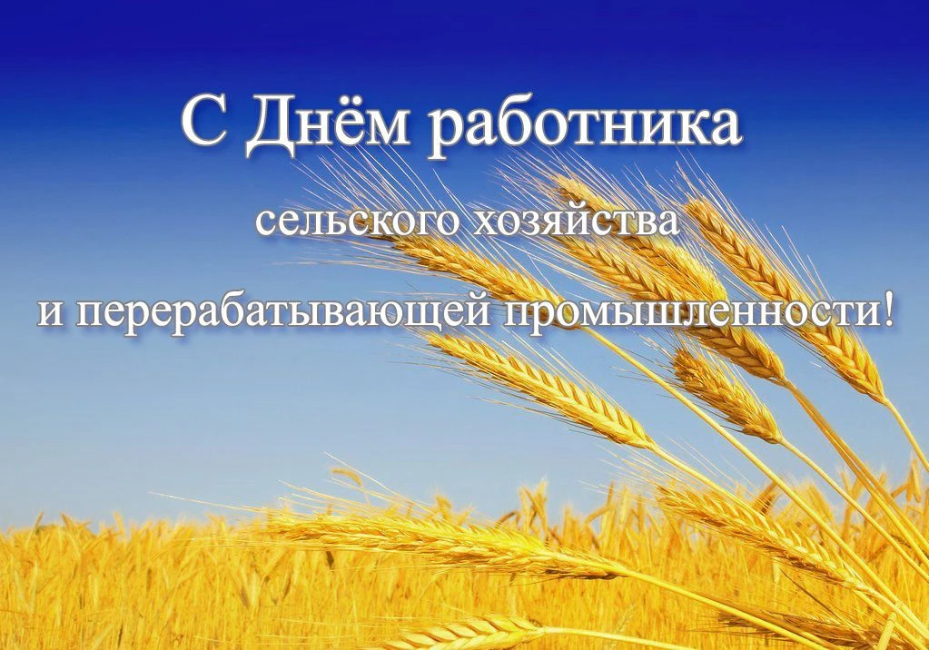 Уважаемые работники и ветераны агропромышленного комплекса Сызранского района!