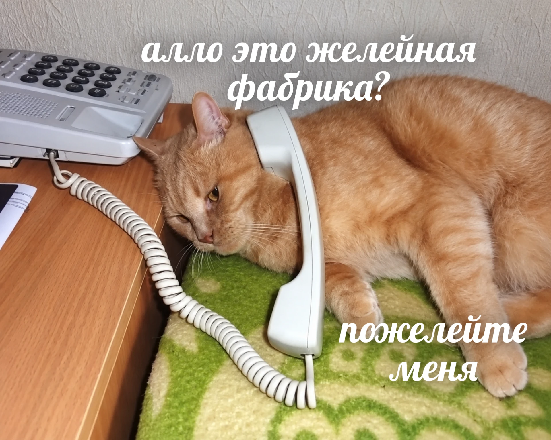 ☎️ Алло, нам тут помощь нужна