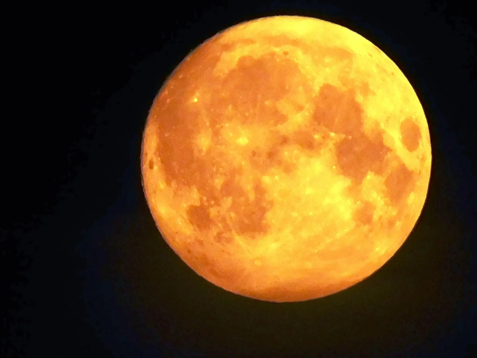 🌕 «Оленья Луна» в Верещагино