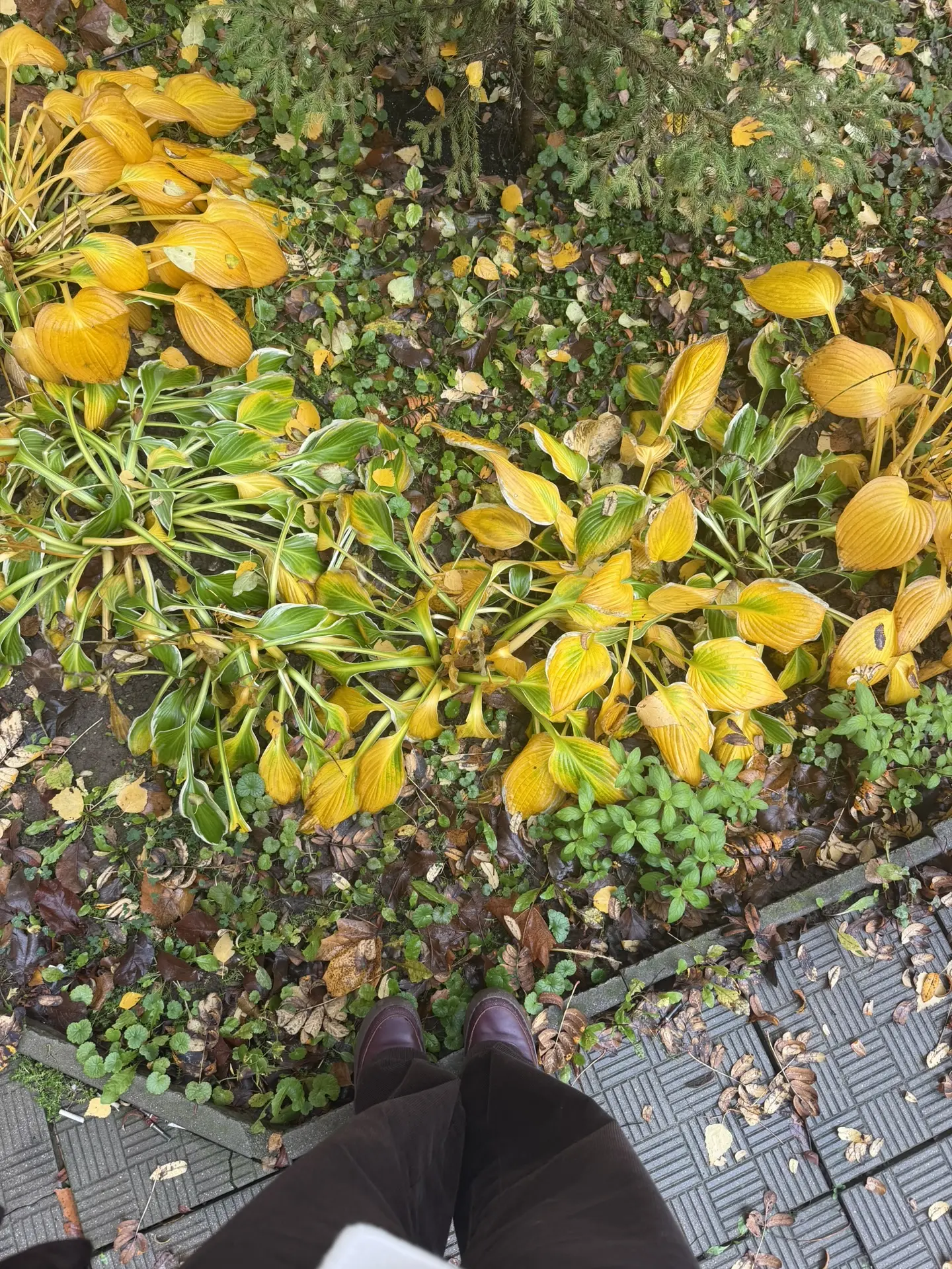 Почти совсем прозрачно на улице 🍂🍃🍁