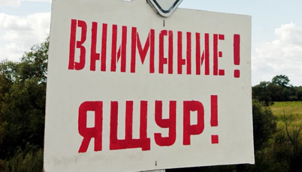 Забайкалье перешло в режим повышенной готовности: приграничные районы защищают от ящура