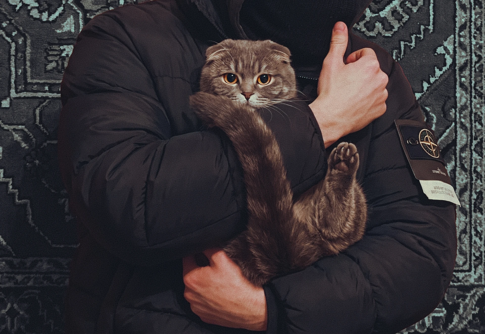 Выцарапал лучший шмот: согреваемся на стиле!