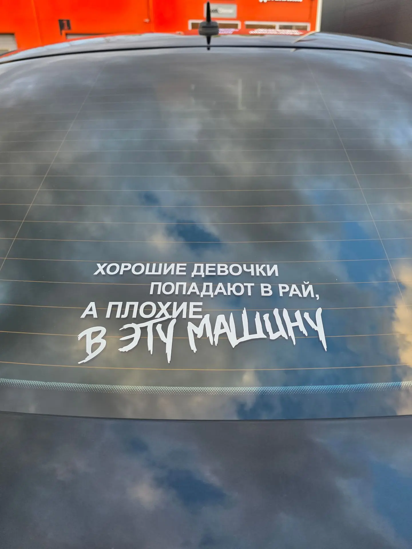 Приехали в автосервис забрать машину, а тут главная вот эта пушистая красота🩷