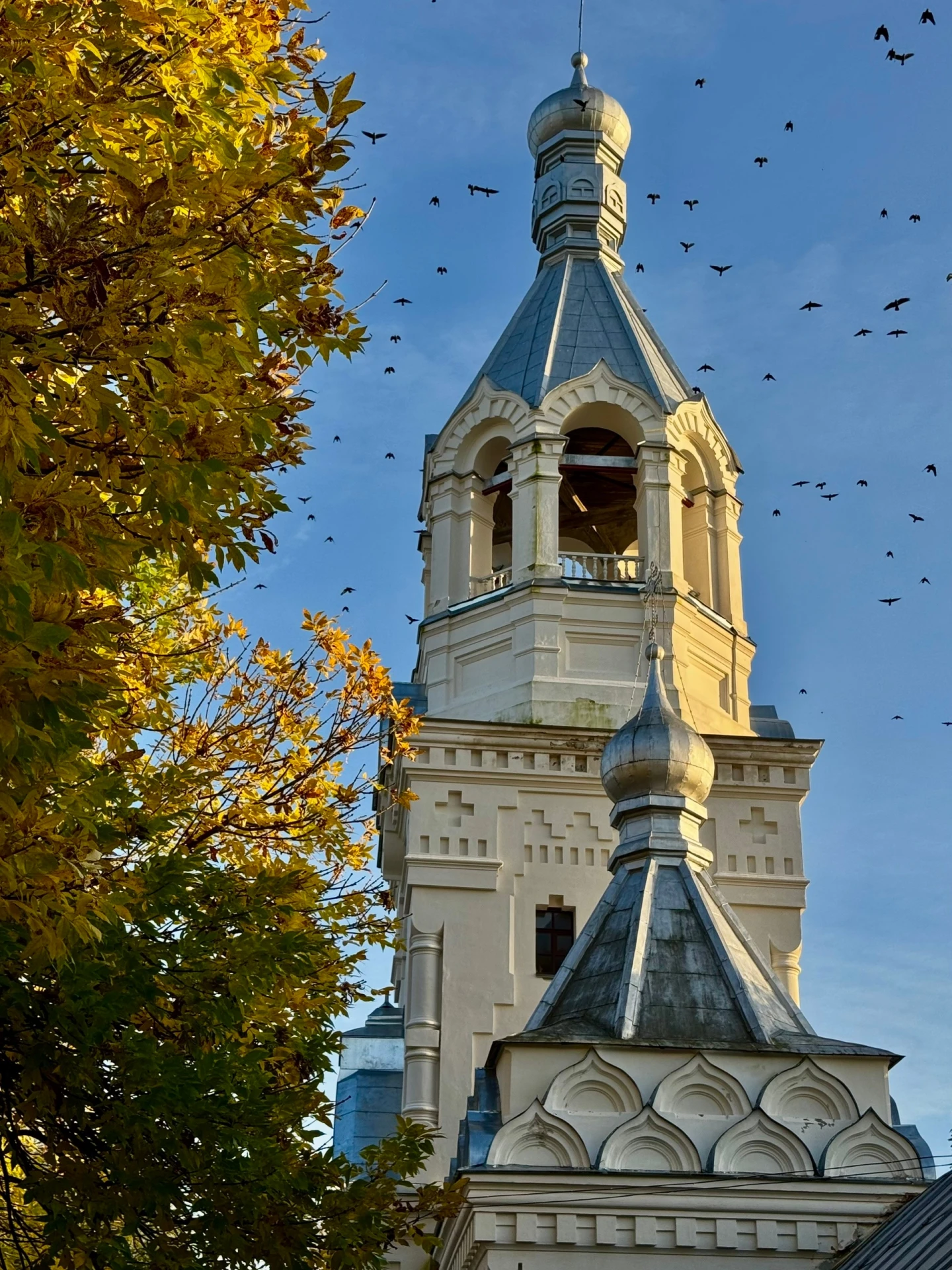 😍 Доброе дождливое утро!