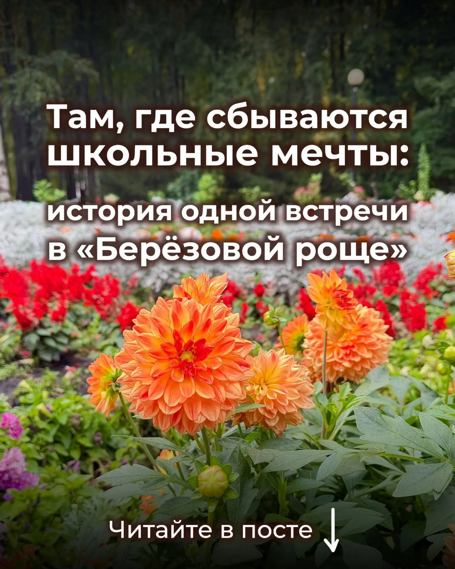 Дорогие друзья!