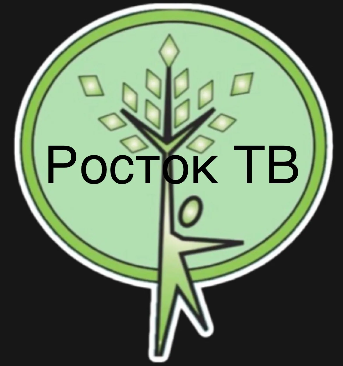🎬 «Росток - ТВ»- твой пропуск в самую яркую часть жизни гимназии!