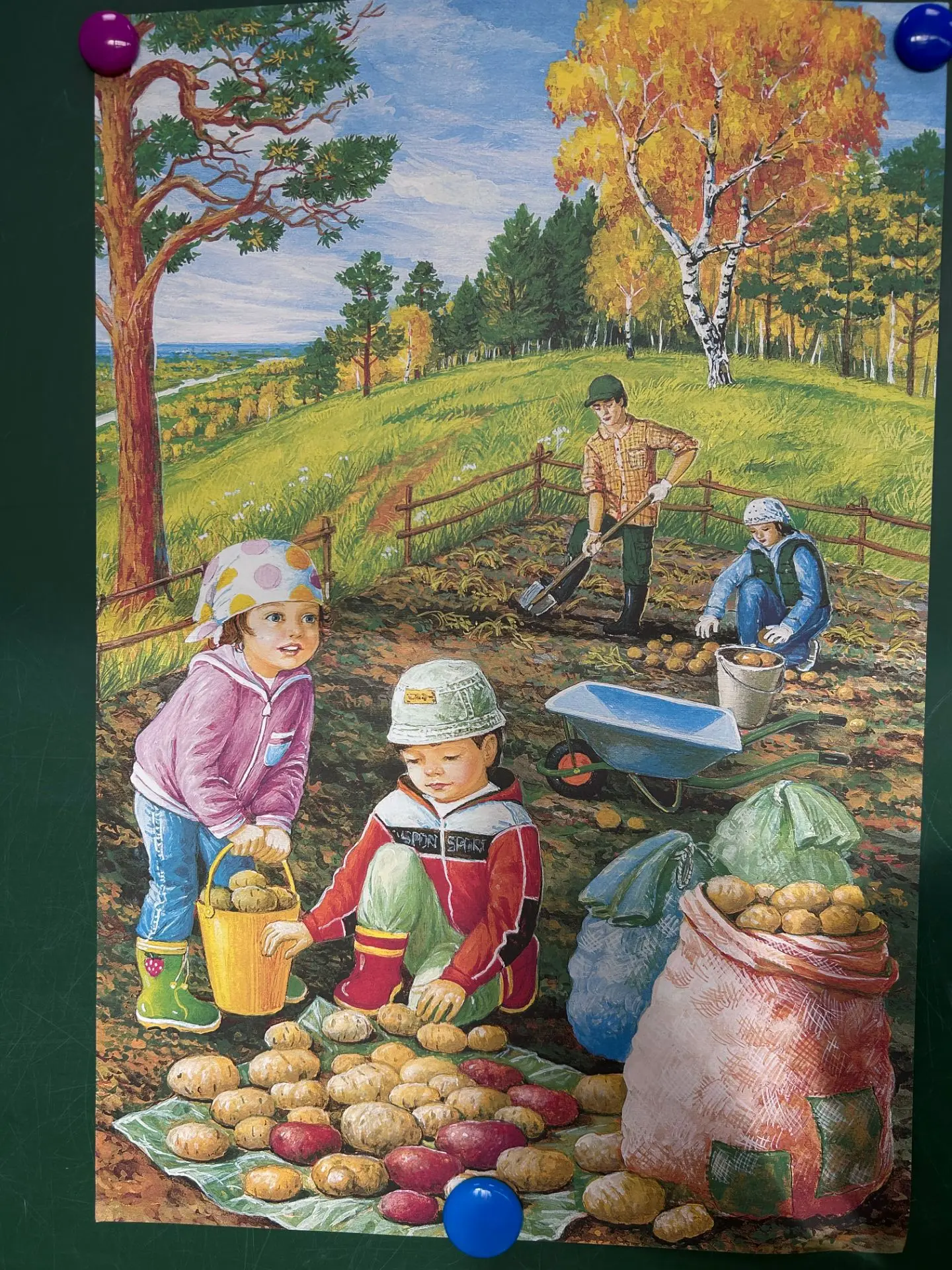 🍎 «Спасибо вам за урожай!» 🥕