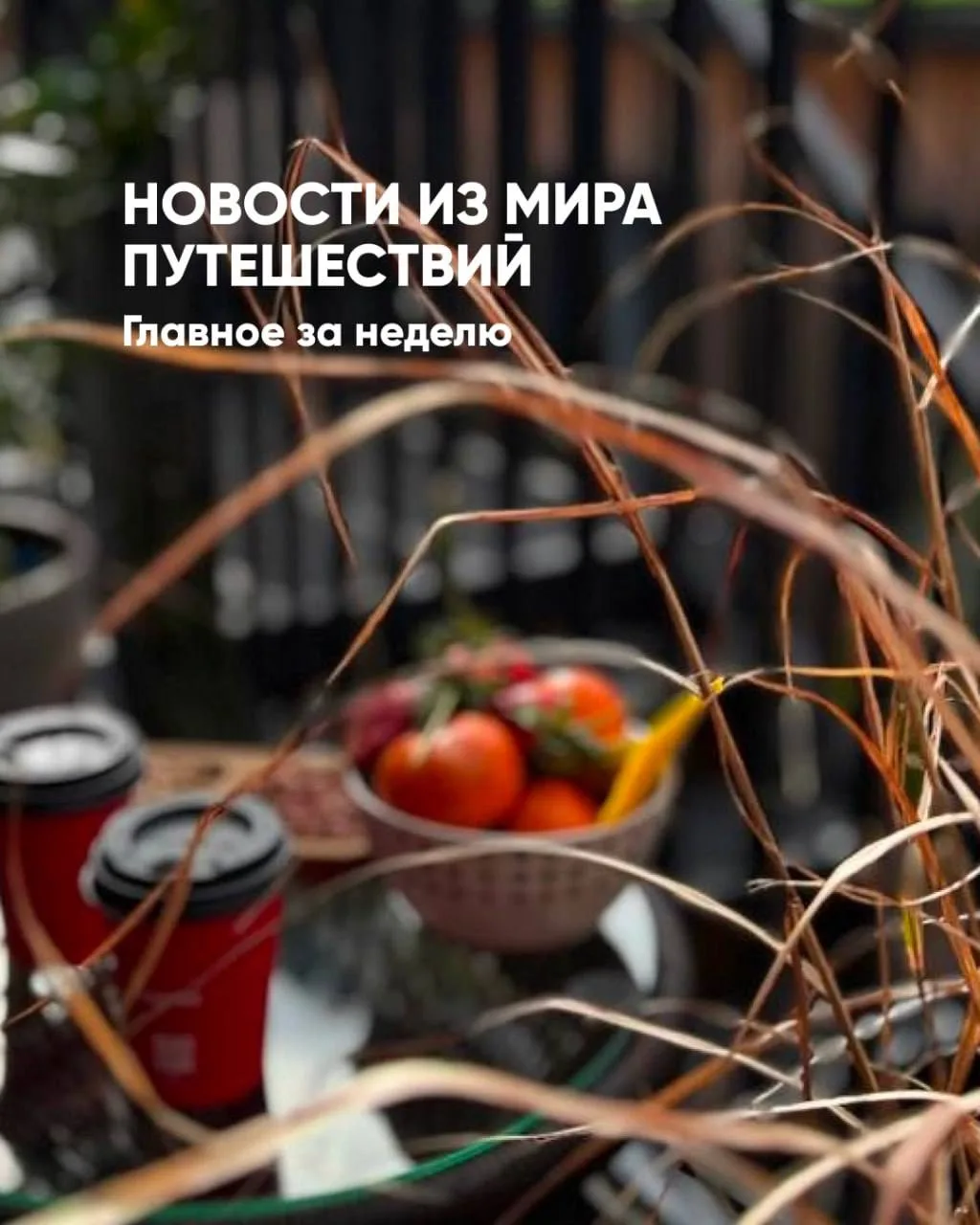 Новости из мира путешествий
