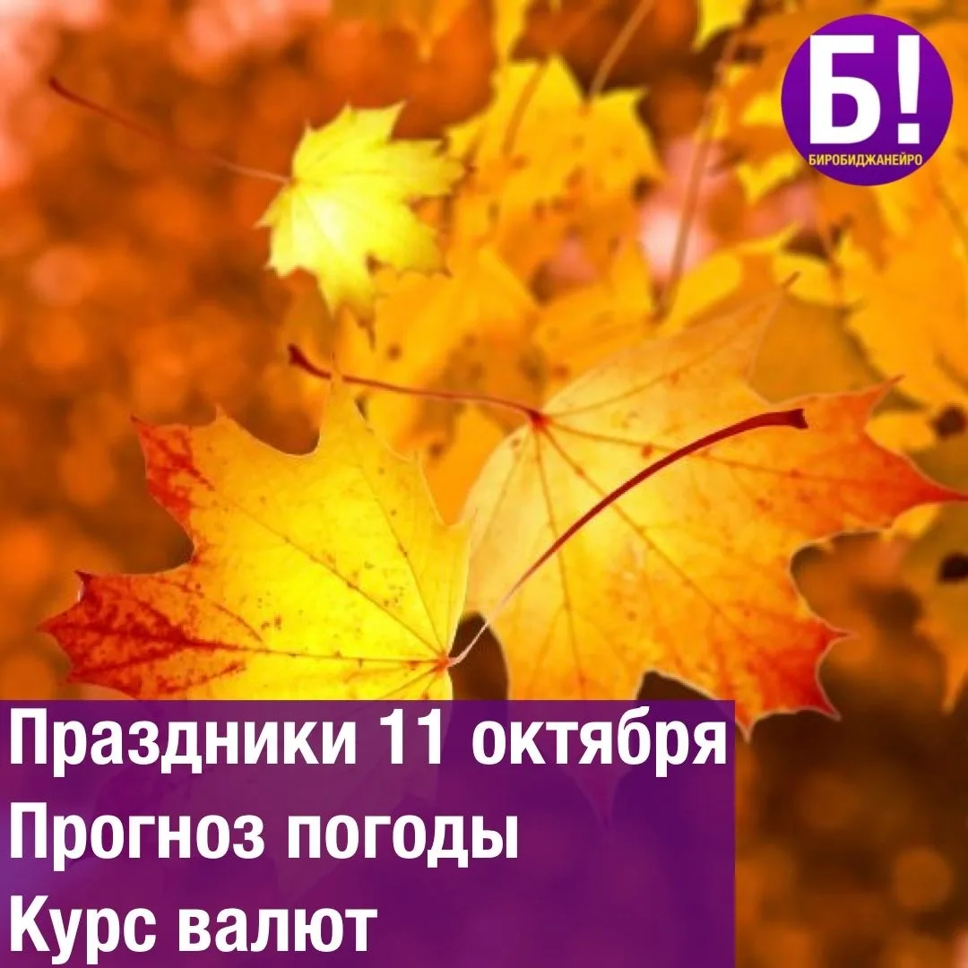 👧 Международный день девочек