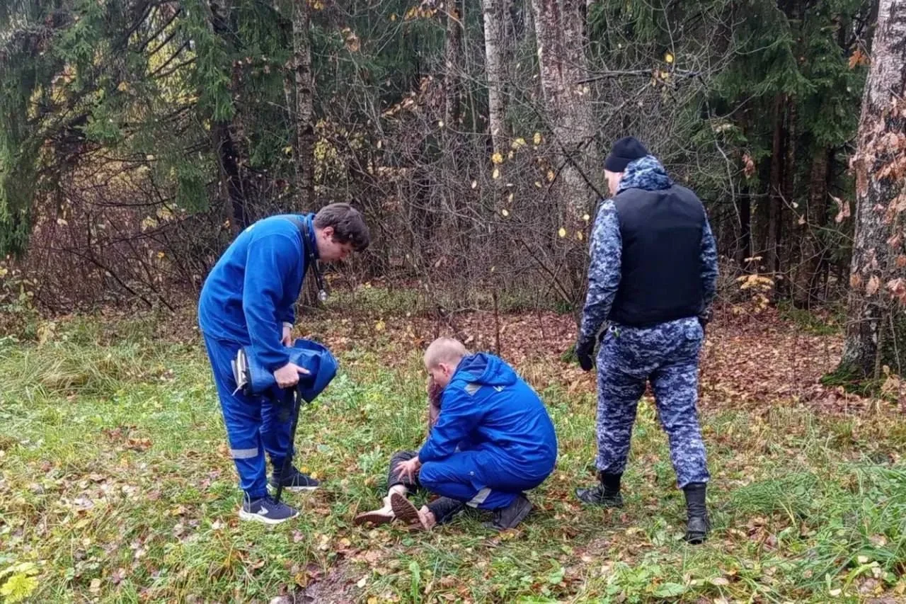 В Баболовском парке грибница сломала ногу, перепрыгивая ров