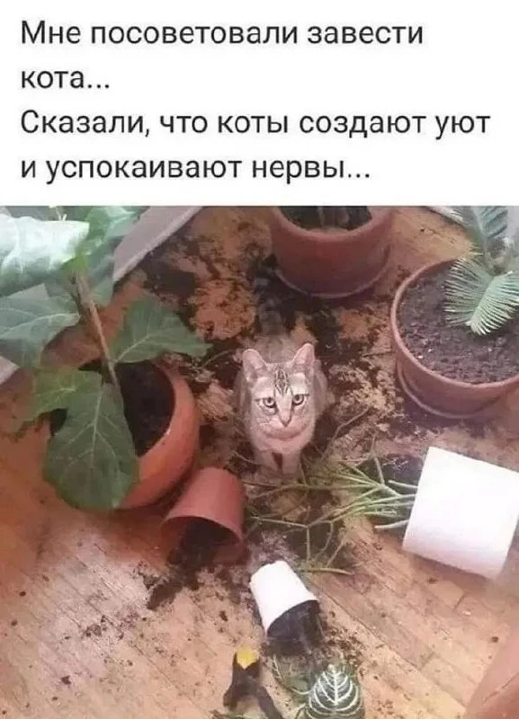 ПРУFИКИ В МАХ